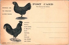 1910's ACONA WORLD FRANKLINVILLE NY CHICKENS POULTRY FOWL GREAT LAYERS! POSTCARD