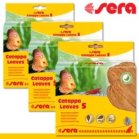 Sera 3X10 St Catappa Leaves S SeemandelbaumbläTter NatüRliche Wasseraufbereitung