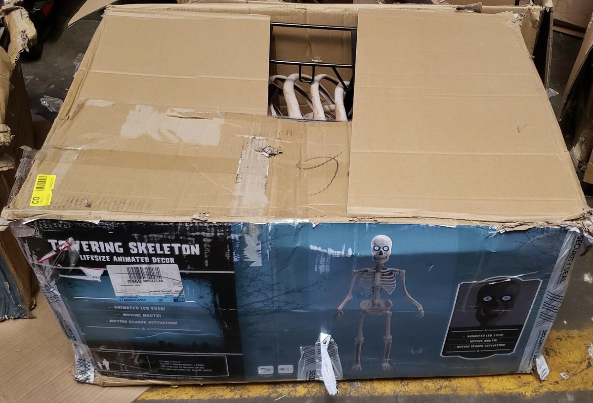 ホワイト【新品】38-kT THE SKELETON スケルトン　38灯 白 38-kT THE SKELETON | 38explore
