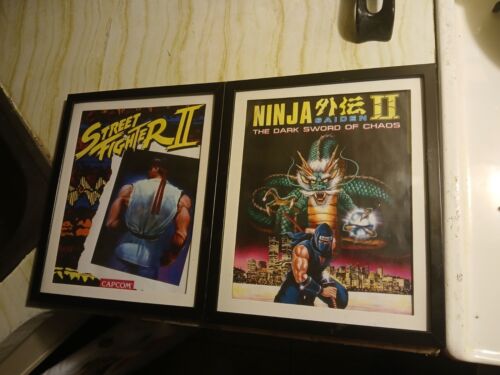 Street Fighter And Ninja Gaiden Frame