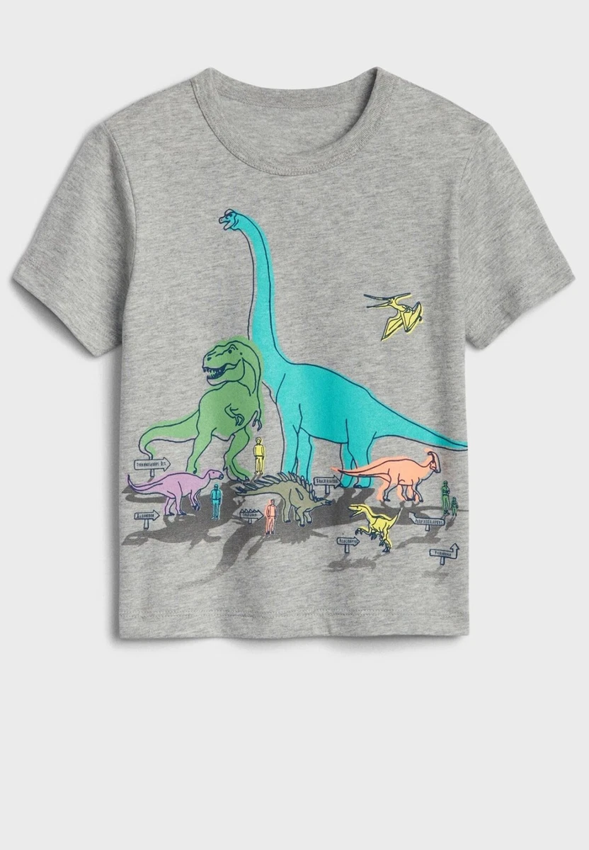 Dinosaur cheap shirt 4t