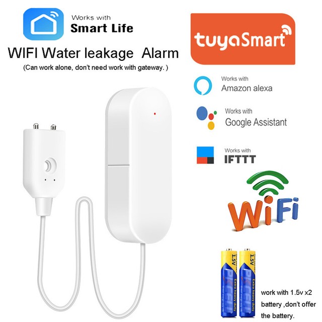 google home leak detector