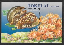 TOKELAU ISLANDS 1996 SEA SHELLS MS254 MNH