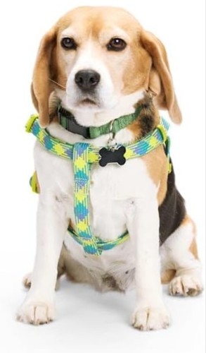 Petco YOULY Yellow/Blue Reflective Dog Harness, Medium