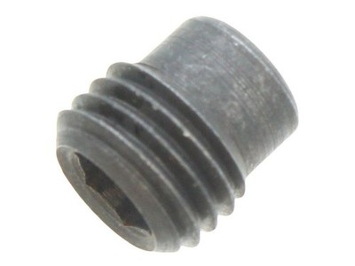 RIELLO RAM PORT SCREW 20PK 3007943 - BRANDNEU - UK VERKÄUFER