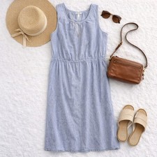 Talbots Linen Blue Pinstripe Sleeveless Beachy Darted Maxi Dress Ladies Size 10.