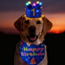 Dog Birthday Hat with Bandana, Light Up Hats Dog Birthday Party Outfit, Large...