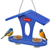 Bird Feeder for Outdoor Hanging, Recyceled Plastic Bluebird Feeders for mealw...