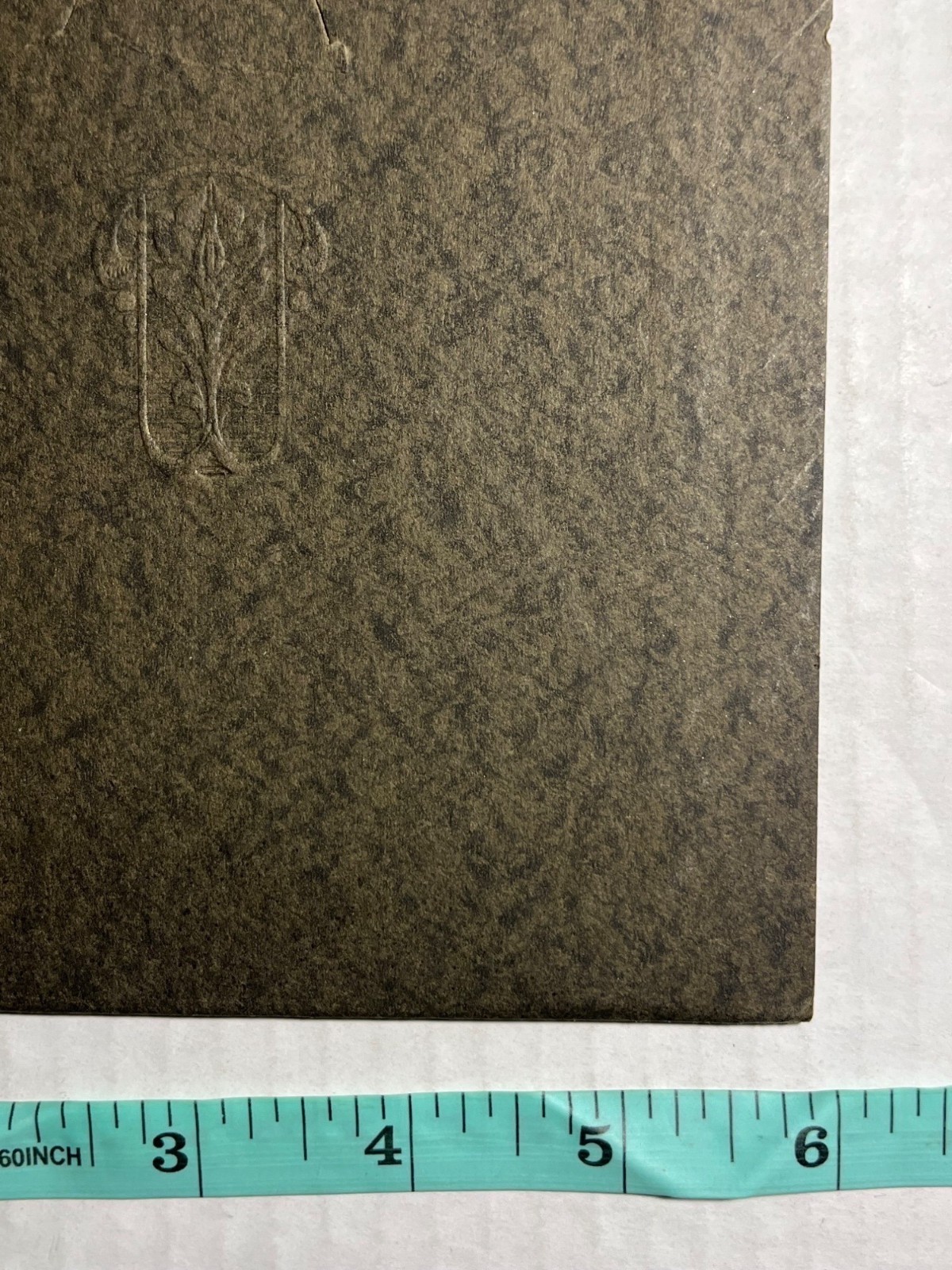 Picture 5 of 5