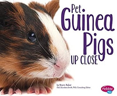 Pet Guinea Pigs up Close Hardcover Brynn Baker