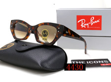 Ray Ban RB4430 Classic Travel Sunglasses Black Frame unisex