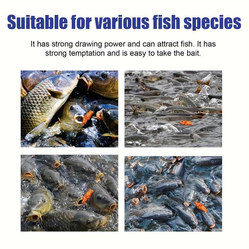 2PCS Professional fishing baits suit for variety of fishes fishing accessories - Image 6