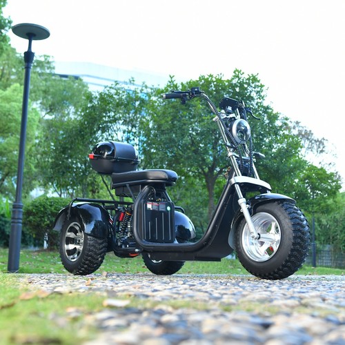 Max Loda 250KG Electric Tricycle Aldult Fat Tire Scooter 2000W Max Speed 45KM/H - Picture 12 of 24