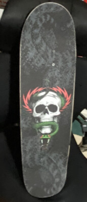 Powell Peralta Mike McGill Blue Flight Deck Complete 8.97