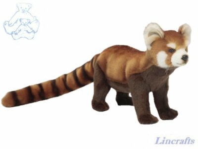 Hansa roter Panda 6309 Plüschtier verkauft von Lincrafts. UK Est.1993