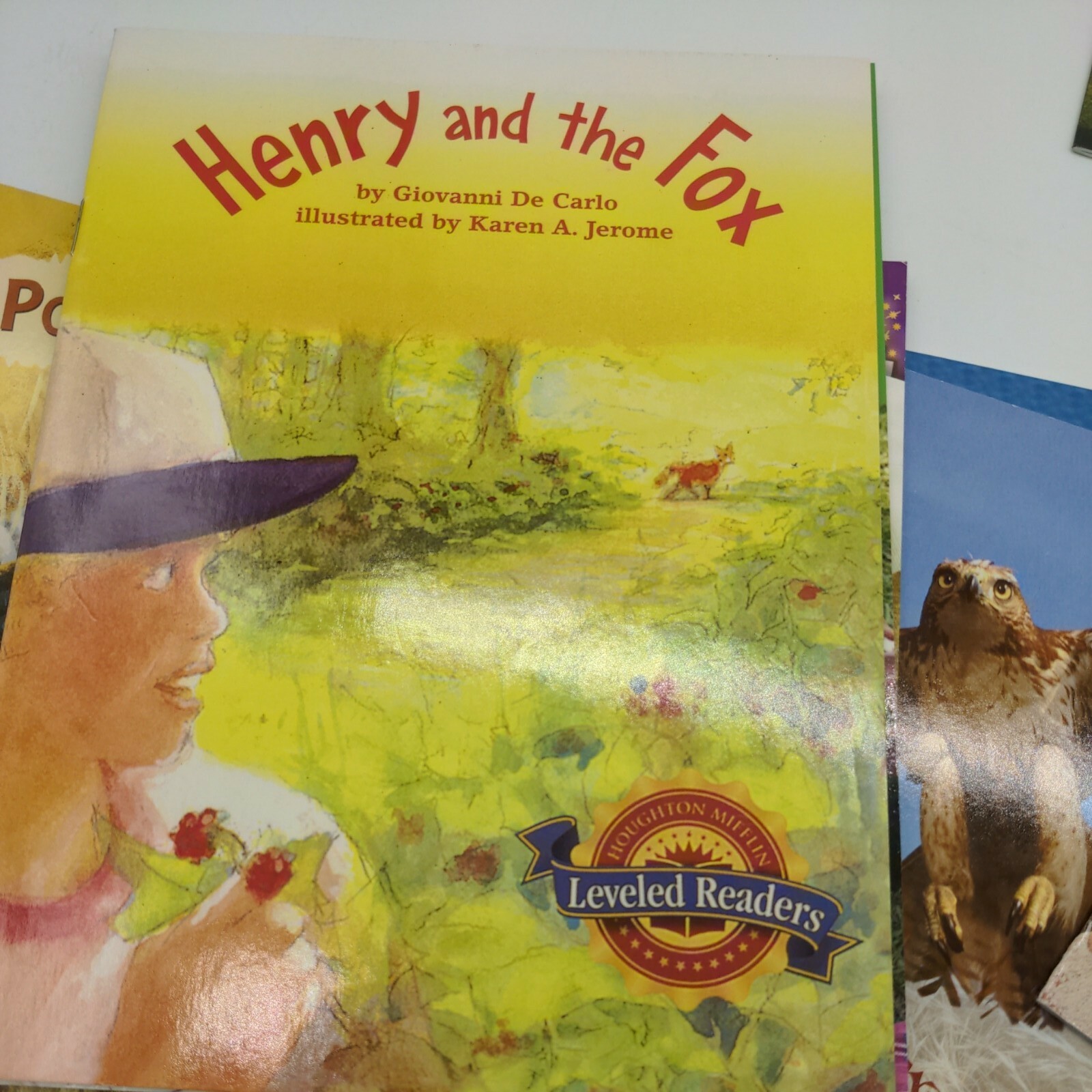 Houghton mifflin reading readers grade 3 children early reader book lot
