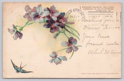 1903 Christmas Postcard Floral Swallow David C. Cook Luzerne NY to Union Springs