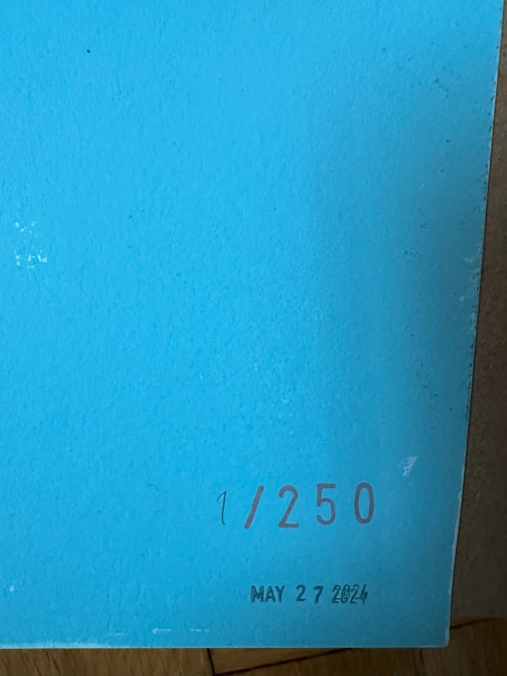 FAILE Endless Summer Print HAND SIGNED - POP Art - Изображение 4 из 4