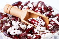 1500 Year Old Cave Bean Seeds (20 Seeds)