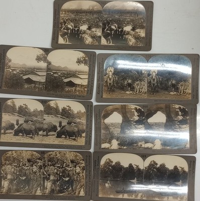 Keystone View Sepia Stereoview Lot of 6   Bison, Native Americans, Canoe