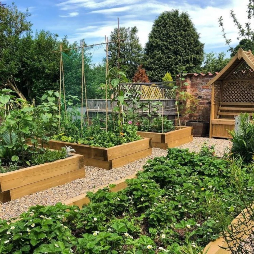 Green Timber Sleeper | 2.4m x 200mm x 100mm | Softwood | Pressure Treated - Image 4 of 4