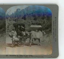 Traveling By Ekka in Hot India Stereo-Travel Stereoview