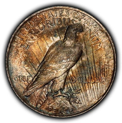 1924 $1 Silver Peace Dollar - PQ Pattern Toning - VIDEO - SKU-D7369