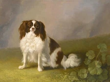 Oil Jakob-Philipp-Hackert-Portrait-of-a-King-Charles-spaniel-in-a-landscape dog