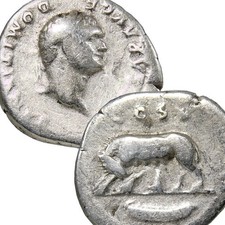 DOMITIAN. SHE WOLF Suckling Twins Romulus & Remus. Roman Empire Denarius Coin