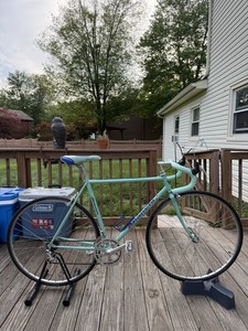 Bianchi Sport Sx | eBay