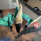Beanie Baby, Ty, 2000, Swoop The Pterodactyl