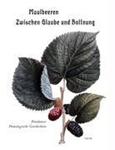 Thumbnail - Maulbeeren - Zwischen Glaube Und Hoffnung Marina Heilmeyer