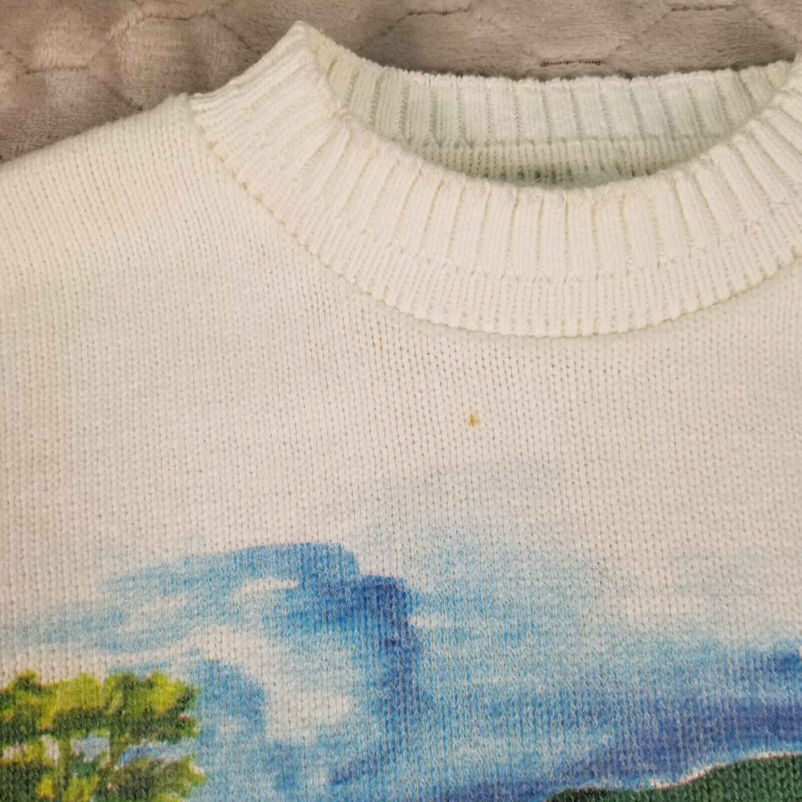Picture 4 of 12