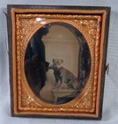 1850s 6TH Plate Ambrotype of Terrier dog and Hidden Man — photo 2