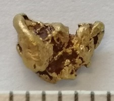 XXL Goldnugget, 5,5 mm Naturgold aus Kanada Yukon Gold Barren Zertifikat 26a