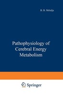 Pathophysiology Of Cerebral Energy Metabolism B. B. Mrsulja