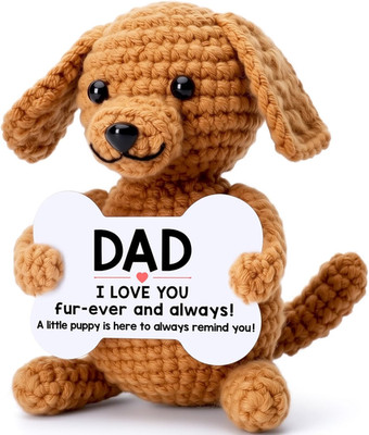 Funny Dog Dad Gifts from Daughter Son, New Bonus Step Dad Daddy Father in Law Gi
