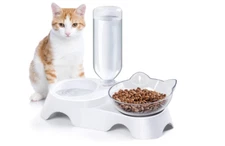Double Cat Dog Bowls with Automatic Water Bottle - 15° Tilted Food Feeder -White