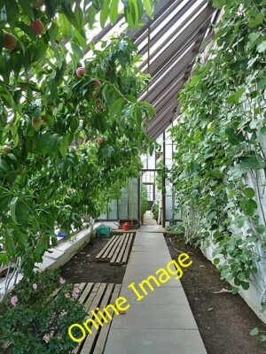 Photo 6x4 A greenhouse at Mertoun House walled garden Maxton/NT6130 Peac c2013
