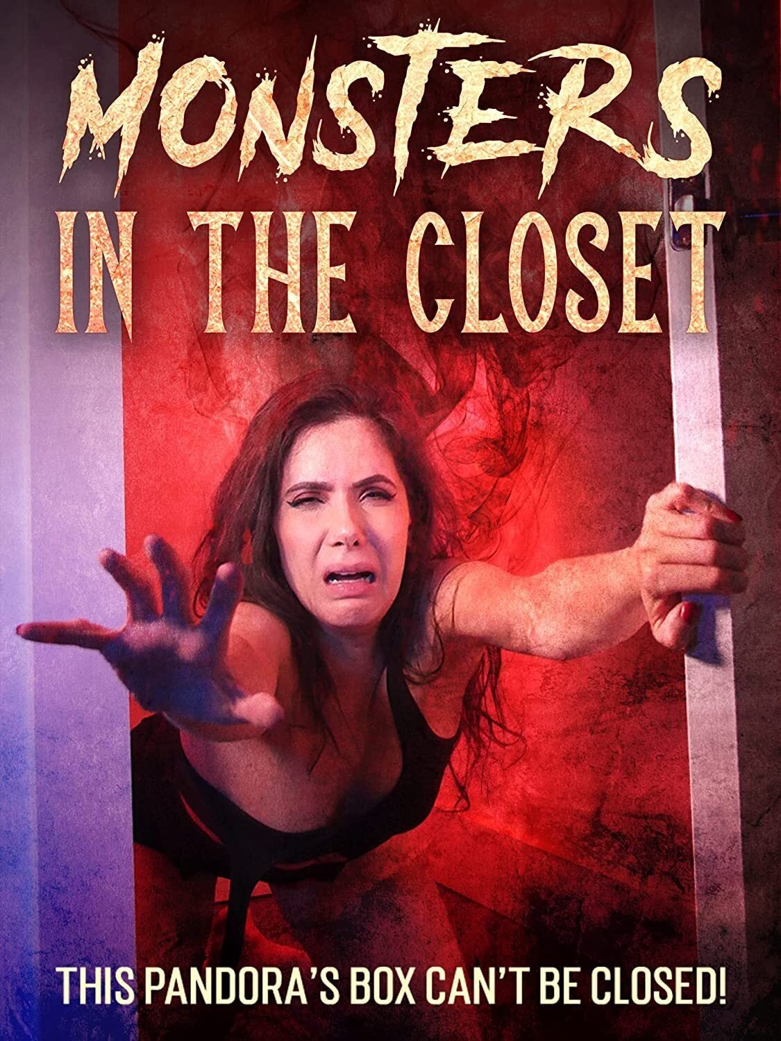 Monsters in the Closet (DVD)