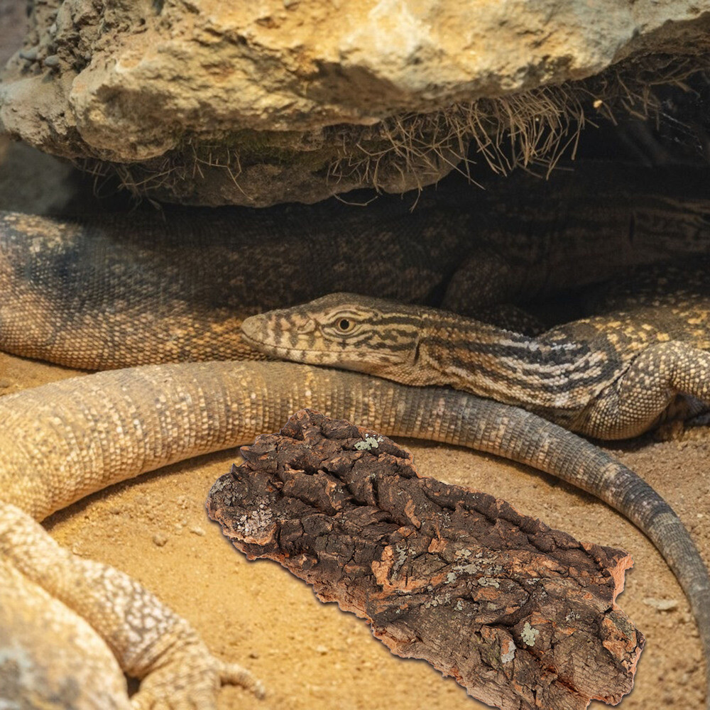 2pcs Bark Terrarium Glass Container Cork Background Cork Aquarium