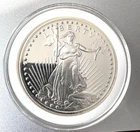 2022  1 oz American Silver Eagle Coin (BU)