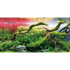 48x18 in Branches Fish Tank Background Stone Seaweed Aquarium Backdrop