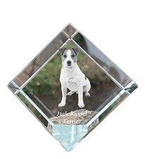 Jack Russell Terrier - Cubi Cristallo Con Immagine,Quadro Cavallo IN