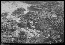 Queensland Coral Great Barrier Reef - Old Photo 2