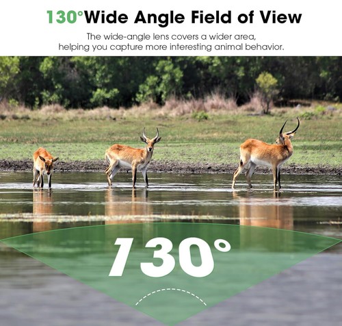 Wildlife Trail Camera 1080P Game Night Vision Outdoor Motion Hunting Cam 32GB UK - Picture 5 of 17