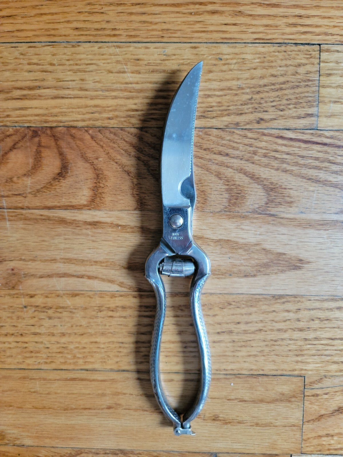 Scissors Shears Made in Italy stainless steel vintage poultry meat kitchen-image