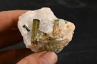 Cristaux de tourmaline verte sur cristal de quartz 127g mineraux de collection