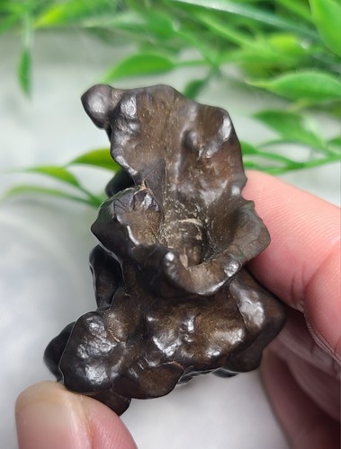 Large 2" 66g Prophecy Stone Z "Venus Pitcher Plant" Egyptian 3rd Eye Meditation - Picture 7 of 23