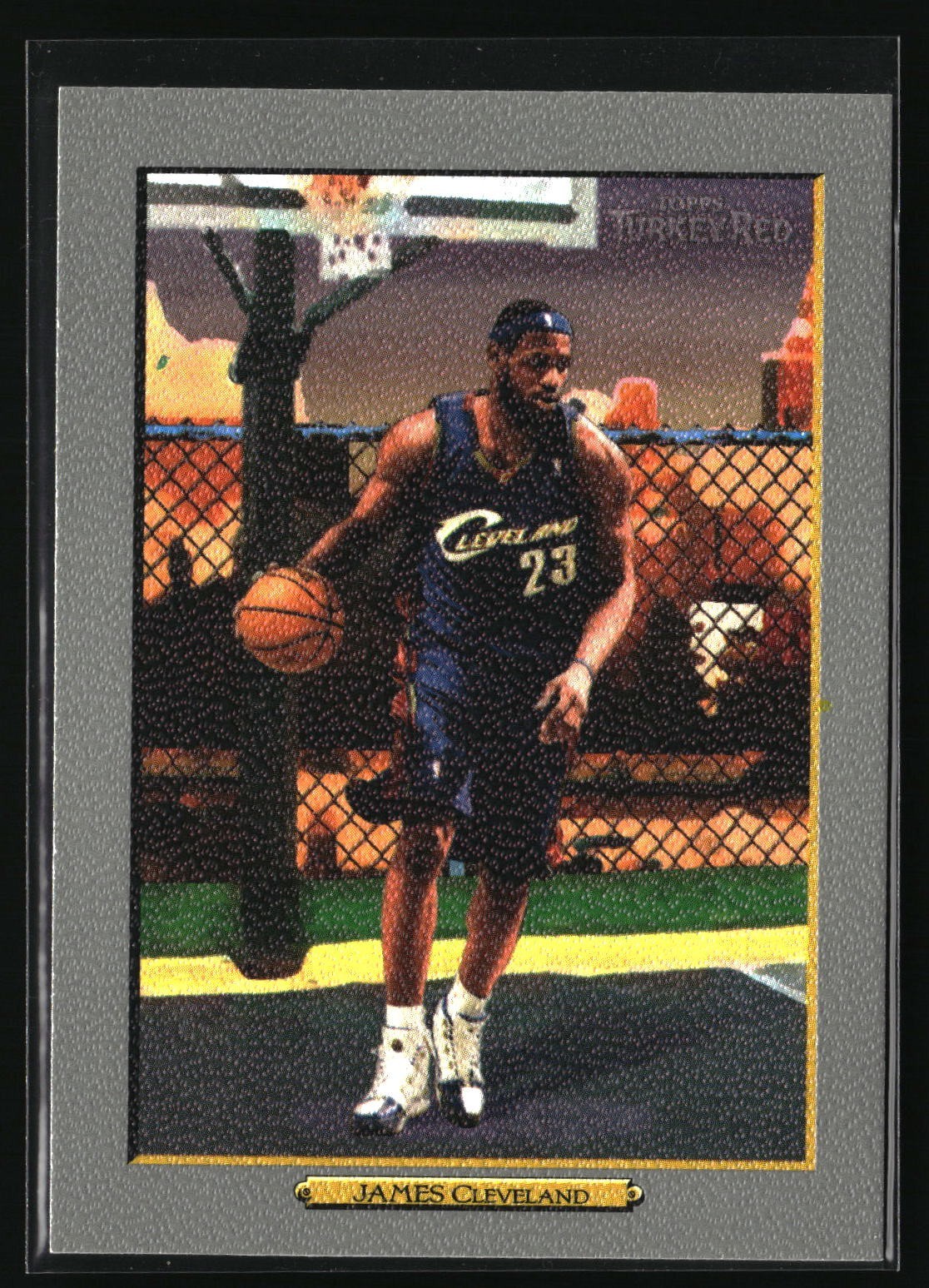 2006-07 Topps Turkey Red - LeBron James #2 e10